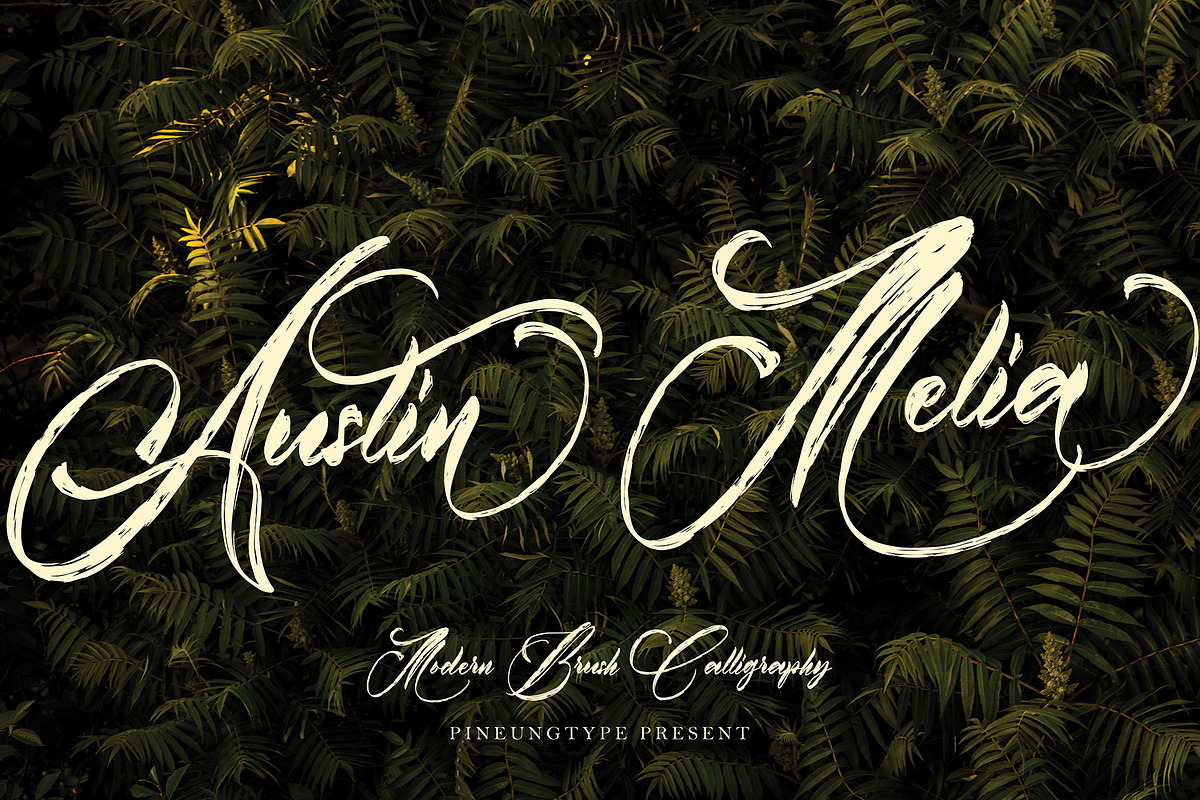 Austin Black Friday