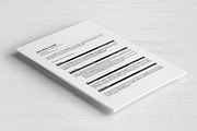 Klin • Professional realistic resume, a Resume Template by Dragoș Neagu (Thumbnail 4 of 5)