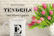 Tendrils Decorative Font, a Font by Digital Typeface Studio (Thumbnail 1 of 6)