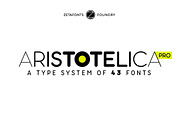 Aristotelica Pro - 43 fonts, a Sans Serif Font by Zetafonts (Thumbnail 1 of 13)