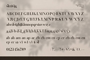 Stenvia Ligature Serif Font Typeface, a Serif Font by Graphicxell (Thumbnail 10 of 10)