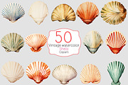 Vintage watercolor shells clipart, a Decorative Illustration by Shahjahangdb1 (Thumbnail 2 of 2)