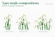 Spring Snowdrops Flowers Collection, an Object Illustration by Harmony Draws (Thumbnail 3 of 9)