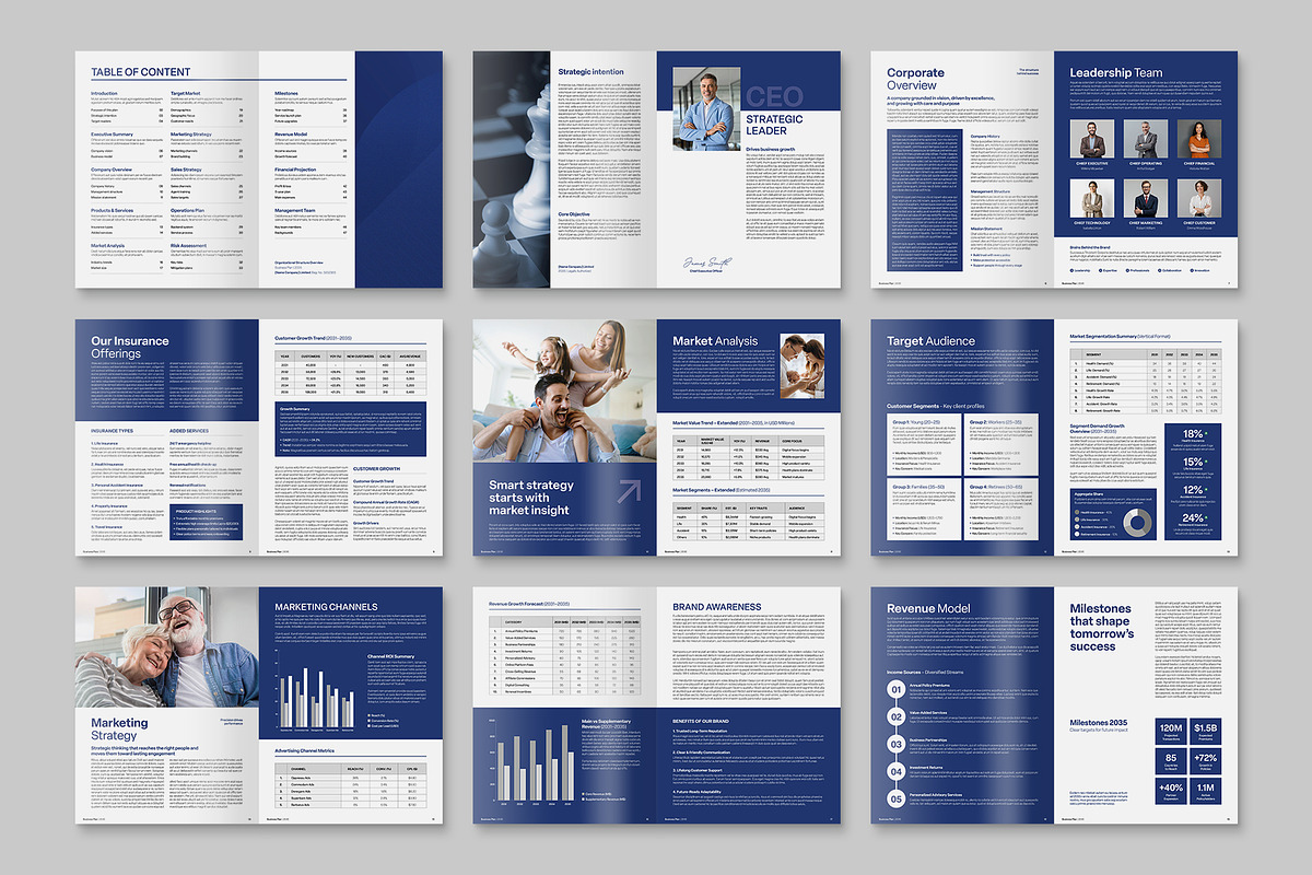 Business Plan Template, a Brochure Template by BrandPacks