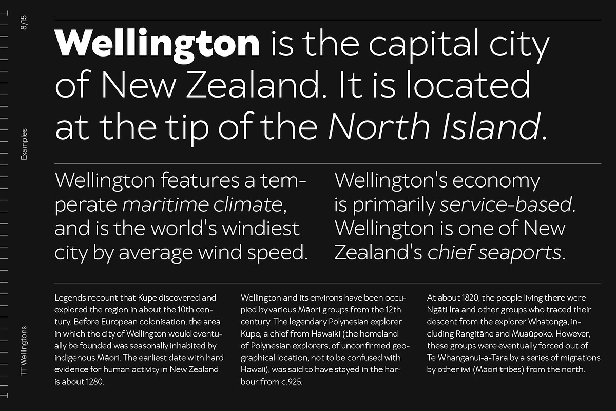 TT Wellingtons, a Sans Serif Font by TypeType (Photo 8 of 15)