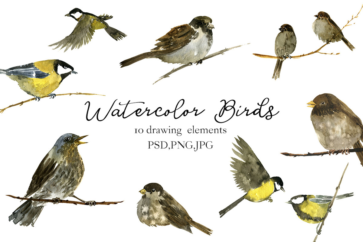 Watercolor Birds, an Animal Illustration by cat_arch_angel (Photo 1 of 2)