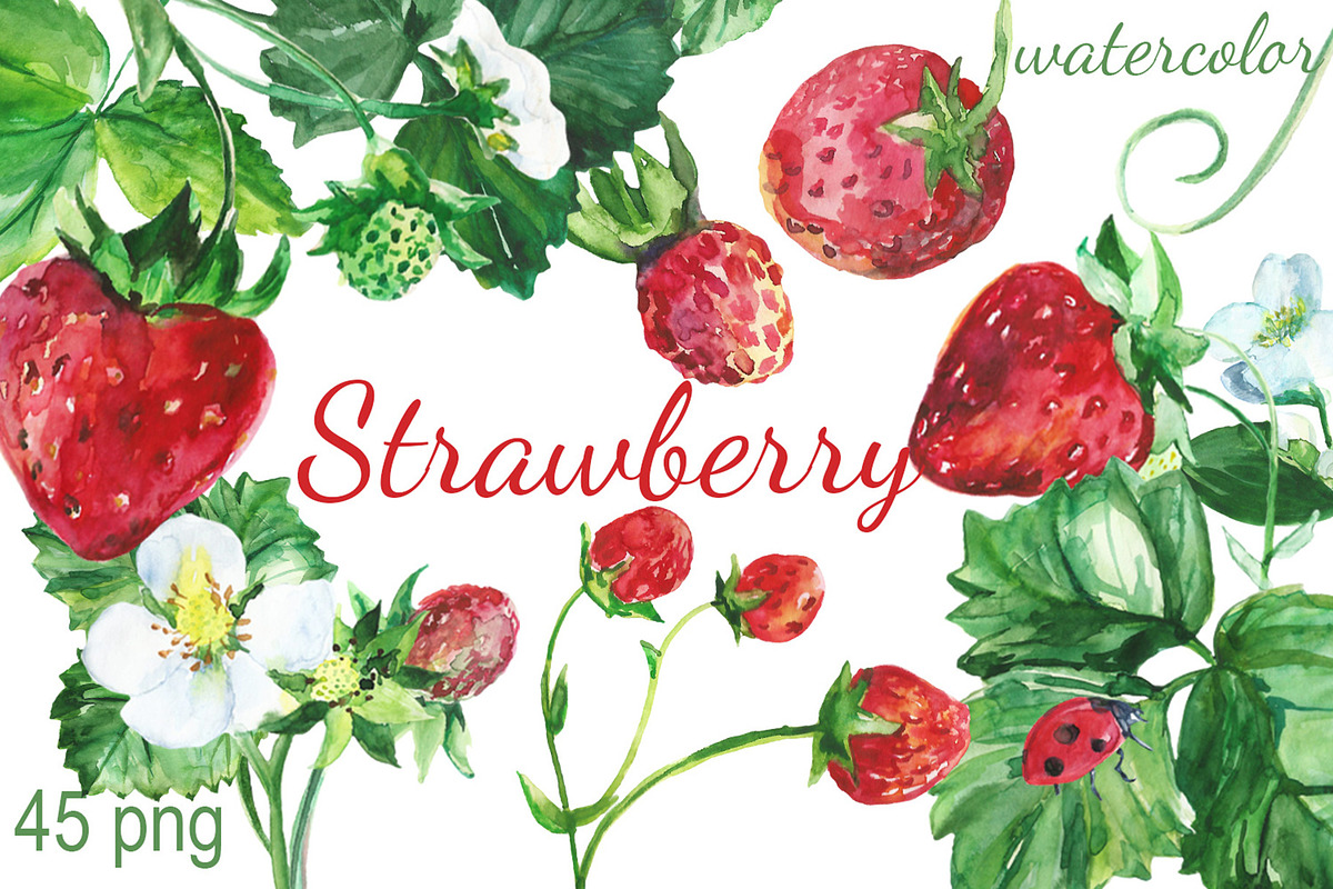 Watercolor Strawberry Clip art, a Food Illustration by DollyPotterson (Photo 1 of 8)