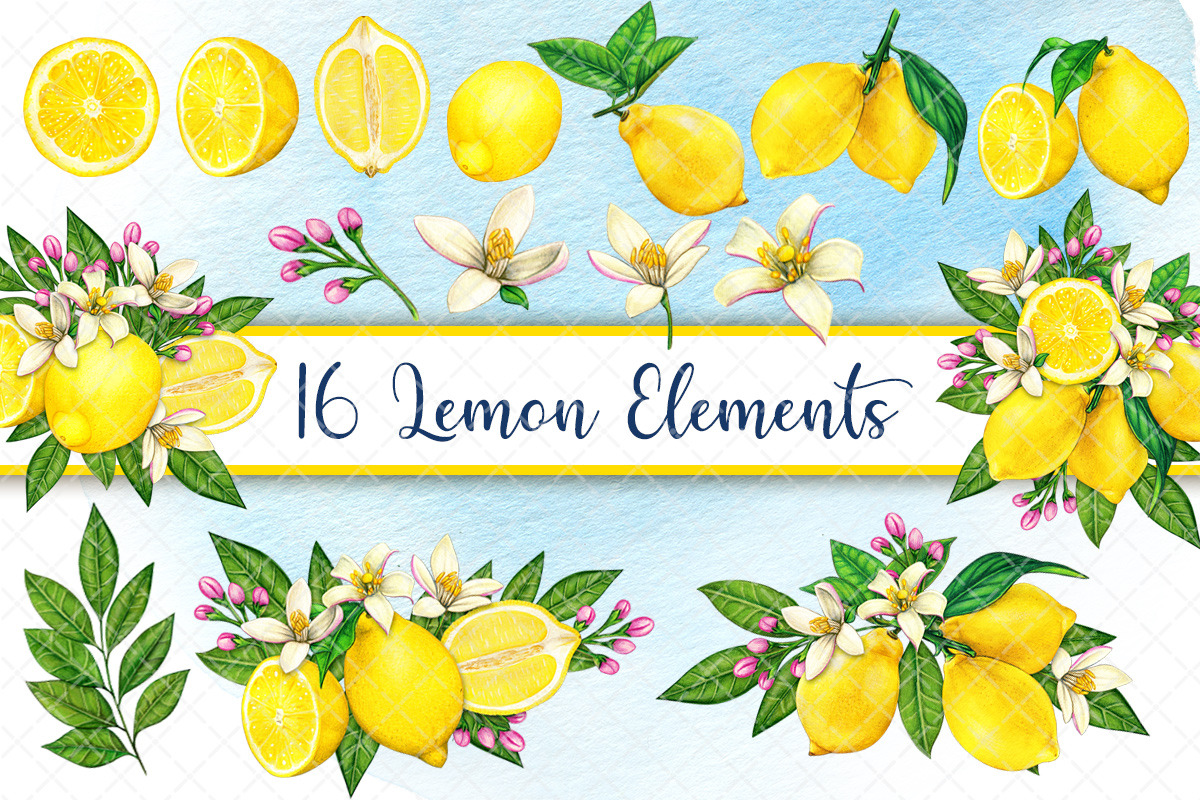 Watercolor mediterranean lemon set, a Decorative Illustration by angychan (Photo 2 of 5)