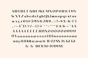 Vianelle Minimalist Sans, a Sans Serif Font by Artiveko (Thumbnail 2 of 8)