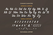 Raphelling Script, a Script Font by Littlehand (Thumbnail 6 of 9)