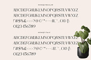 Moniqe - Modern Elegant Serif Font, a Serif Font by Muflieart (Thumbnail 6 of 7)