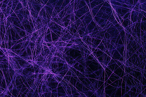Intricate patterns of purple and bla, a Photo by Tanuart