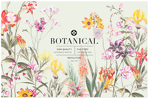 Botanical, Luxury Patterns & Motifs!