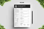 Block Resume Template, a Resume Template by Big Zone Studio (Thumbnail 3 of 4)