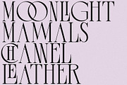 Melted Etoile - Chic Ligature Serif, a Serif Font by Mikhail Fukurou (Thumbnail 5 of 8)
