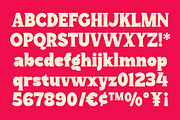 Regal Drownfall Font, a Serif Font by Marvadesign (Thumbnail 6 of 8)
