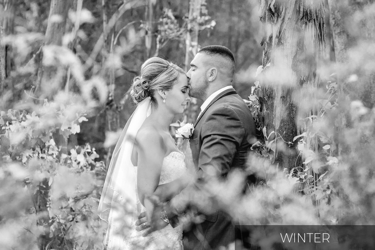 Black and White Lightroom Presets, a Plug-in Add-On by h.utomo (Photo 8 of 10)