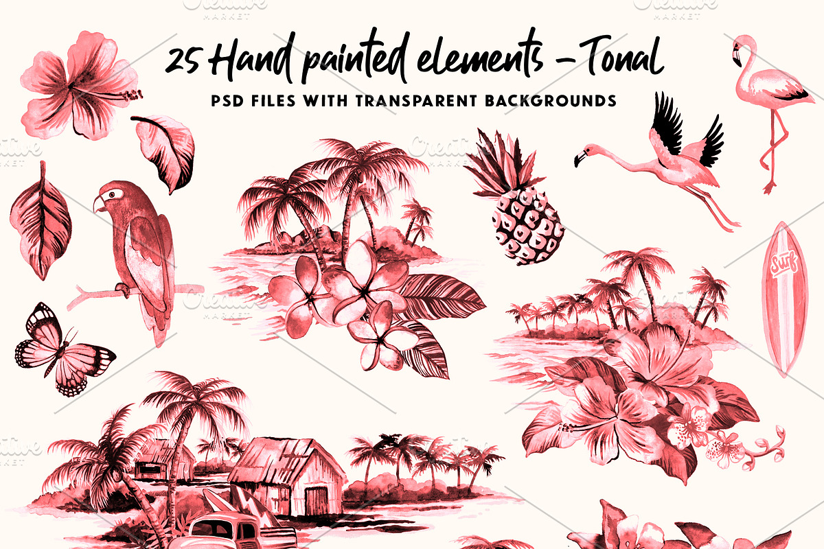 Vintage Hawaiian Illustration Pack, an Illustration by Lindy_doodle (Photo 2 of 8)