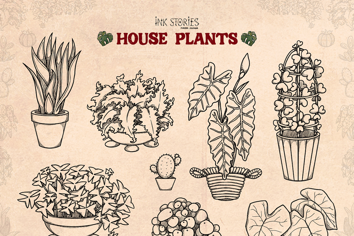 House Plants, an Object Illustration by Ink Stories (Photo 5 of 23)