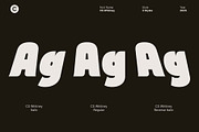 CS Whitney – Chunky Display Font, a Sans Serif Font by Craft Supply Co. (Thumbnail 4 of 8)