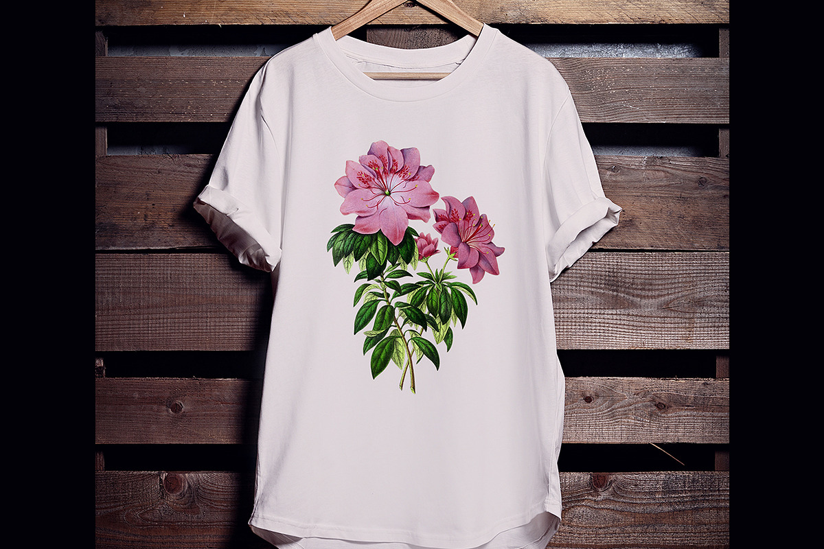 5x Isolated Flower Illustration (01), an Object Graphic by Europe.graphics (Photo 4 of 7)