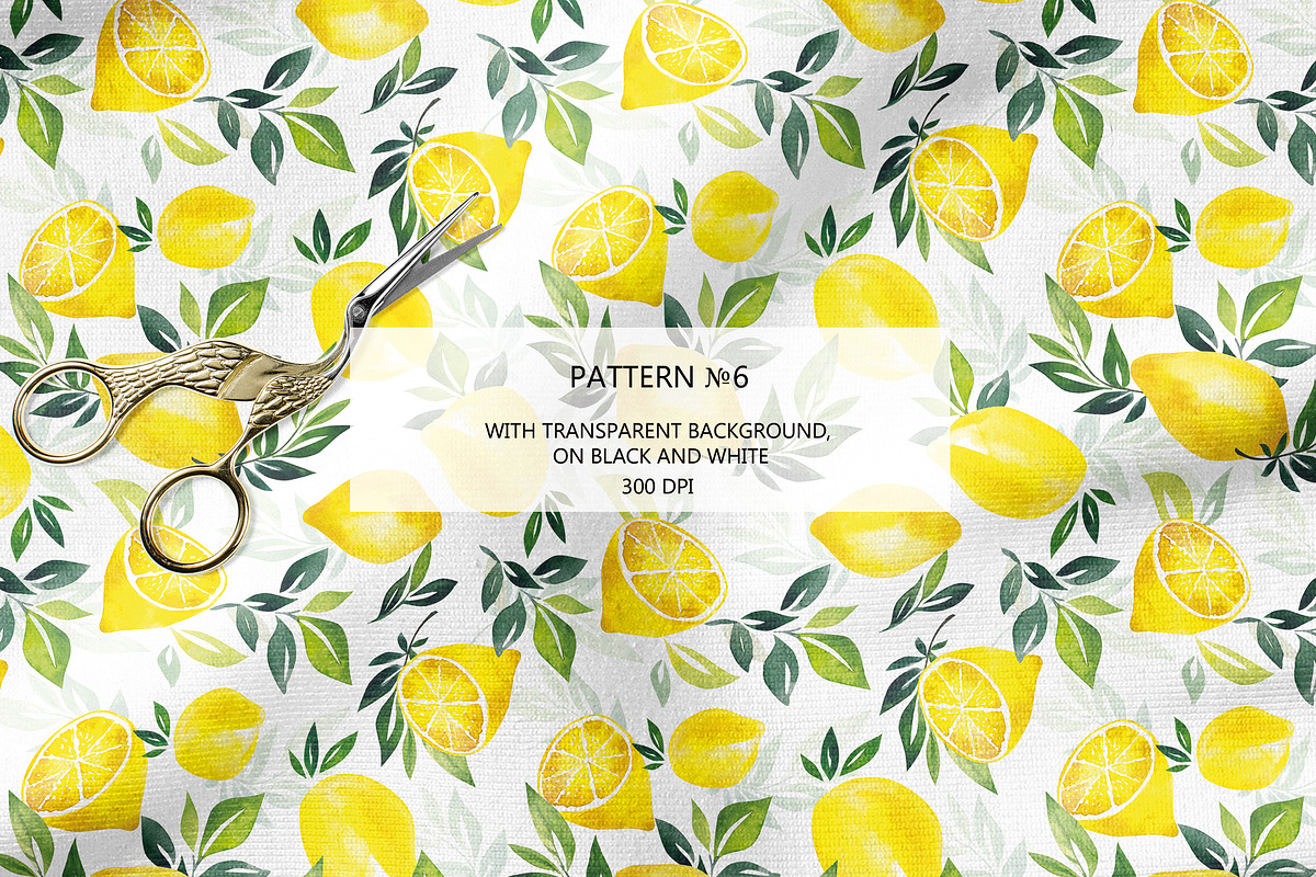 CITRUS FRUITS, an Illustration by Elena_Sedova (Photo 7 of 8)