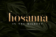 Sonder Serif Typeface - 5 weights, a Serif Font by VP Fonts (Thumbnail 3 of 9)