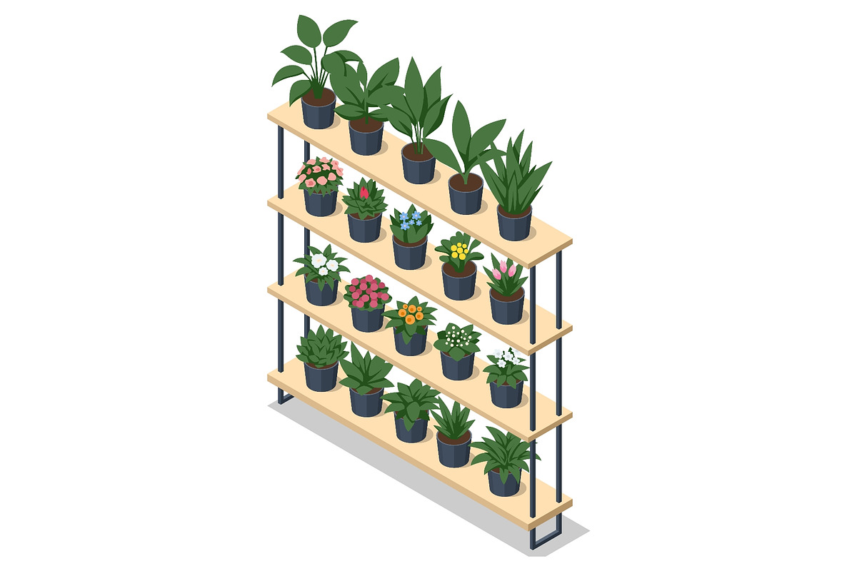 Isometric potted plant display shelf, a Person Illustration by Golden Sikorka (Photo 3 of 3)