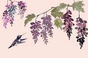 Hummingbird Gardens - Watercolor Set, an Illustration by amyxbao (Thumbnail 3 of 8)