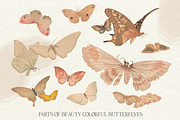 Ikigai Oriental Vintage Design Set, an Object Graphic by Beauty Drops (Thumbnail 7 of 12)