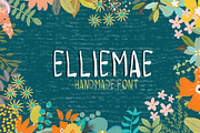 hand drawn font-Elliemae, a Sans Serif Font by Sweet Fig (Thumbnail 1 of 3)