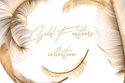 Gold Feathers collection (eps + png), an Object Graphic by Gluiki (Thumbnail 1 of 2)