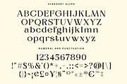 Alverich - Modern Serif Font, a Serif Font by Comactype Foundry (Thumbnail 21 of 22)