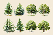 Watercolor Woodland Animals Clipart, an Animal Illustration by Primrose Blume (Thumbnail 7 of 8)