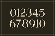 Vagabon Mighten- Display Serif Font, a Serif Font by RockboyStd (Thumbnail 10 of 12)