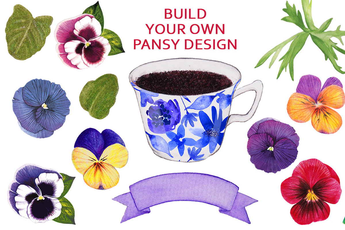Pansy Perfect, an Illustration by Dana Designs (Photo 3 of 4)