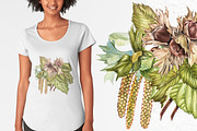 Hazelnuts in botanical style, a Food Illustration by Ann Astro (Thumbnail 3 of 8)