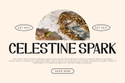 Quirentis - Serif Typeface Font, a Serif Font by Rishsketch (Thumbnail 2 of 15)