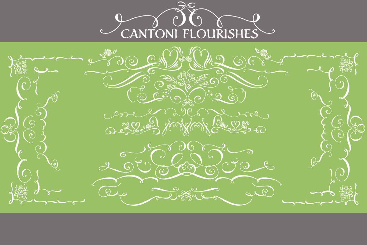 Cantoni Total Design Font preview 5