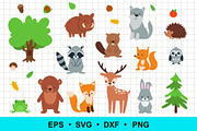 Woodland Animals Clip Art, an Animal Illustration by Elena Nesterova (Thumbnail 2 of 4)