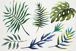 Tropical Watercolor Set PNG!