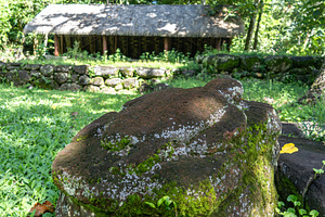 Ancient turtle statue at Kamuihei archaeological site, Nuku Hiva, an Architecture Photo by GoodGoods