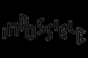 Impossible Type
