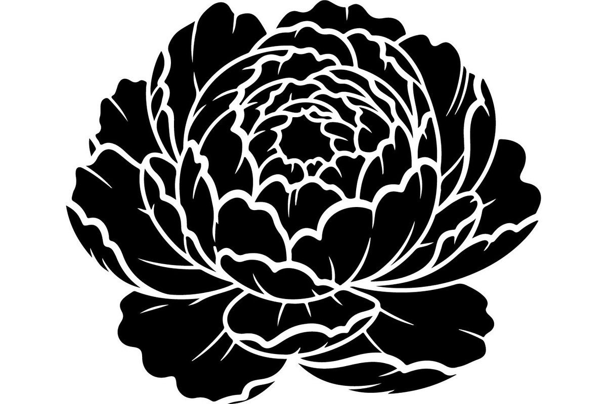 Vintage Botanical Flower Vector Set, an Object Illustration by Designer_Momina (Photo 22 of 26)