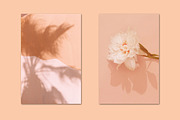 Minimalist beige bundle 79, a Person Photo by Jenya Porechenskaya (Thumbnail 4 of 7)