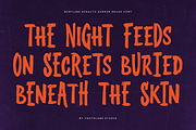 Northline Scratch – Horror Brush, a Handwritten Font by Youthlabs Studio (Thumbnail 4 of 15)