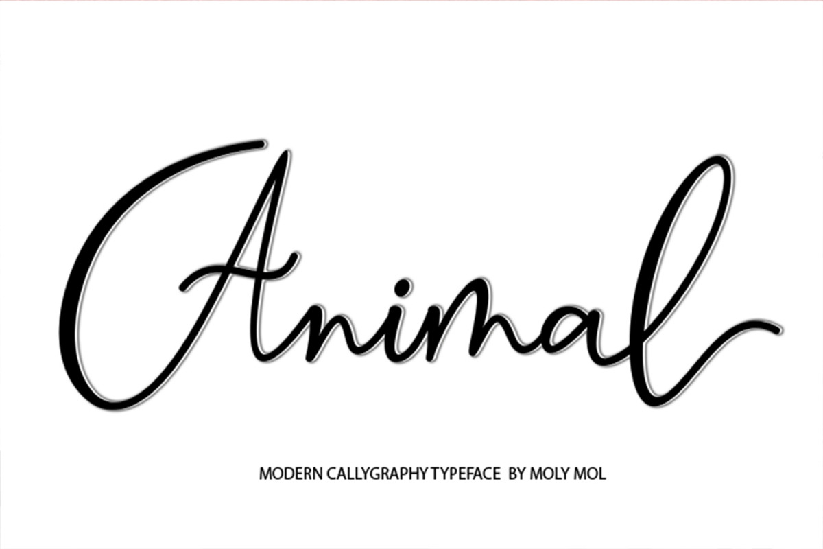 Animal Script, a Script Font by Moly Mol (Photo 11 of 11)