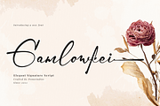 Gamlowfei | Elegant Signature, a Script Font by Denustudios (Thumbnail 1 of 12)