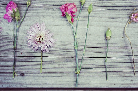 Simple Buds