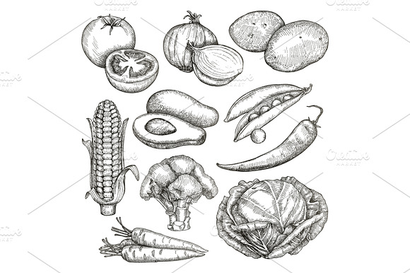 Vegetables Sketches Vector Icons